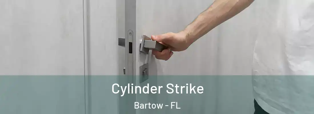  Cylinder Strike Bartow - FL