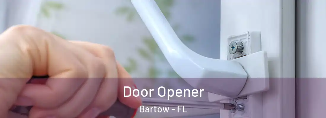  Door Opener Bartow - FL