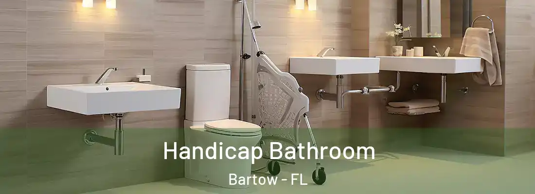  Handicap Bathroom Bartow - FL