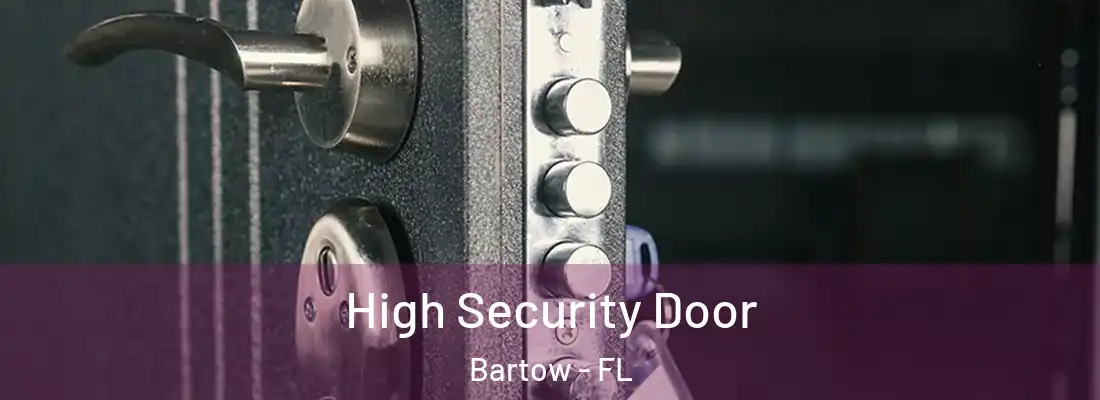  High Security Door Bartow - FL