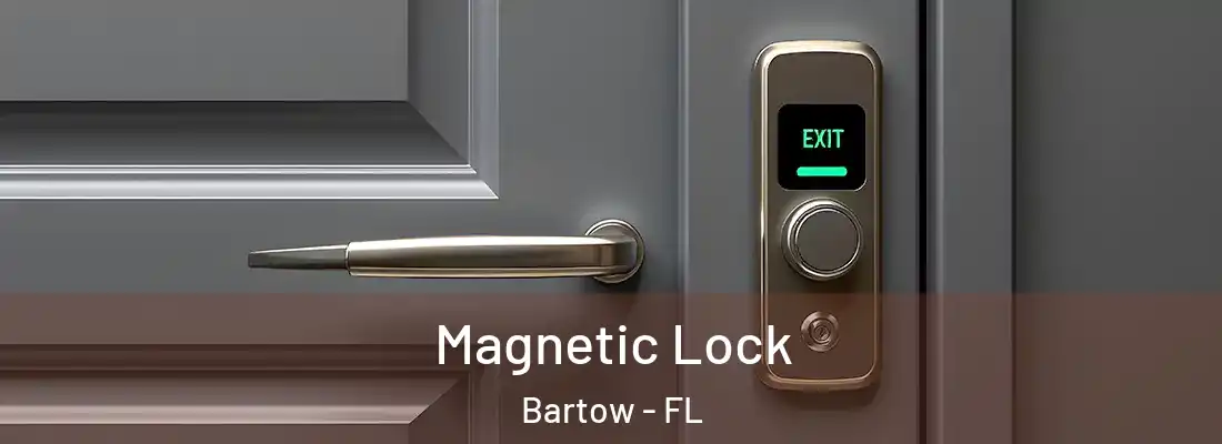  Magnetic Lock Bartow - FL