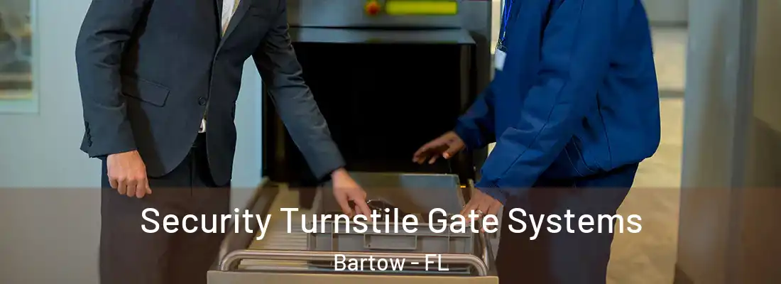 Security Turnstile Gate Systems Bartow - FL